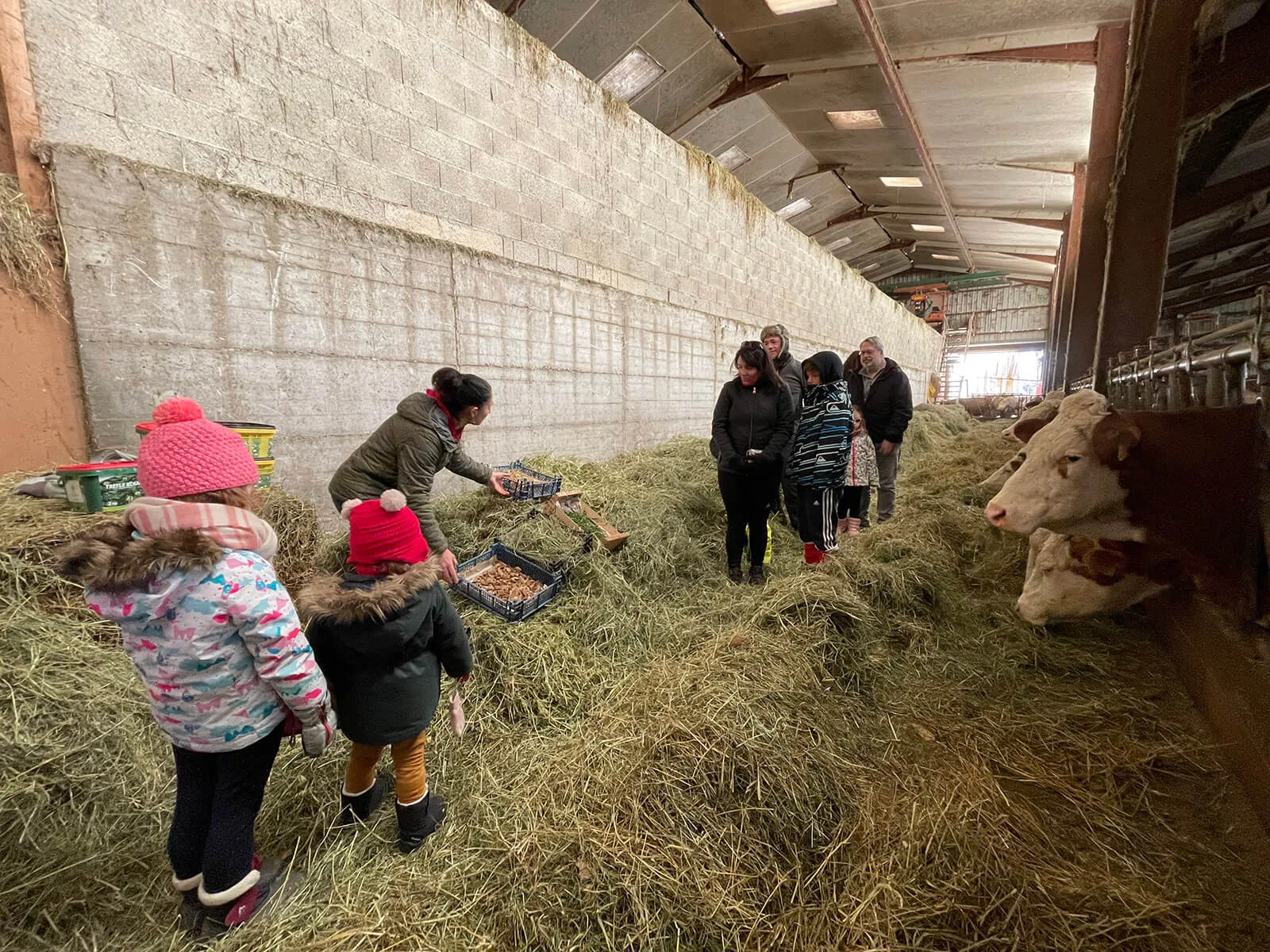 Plateau de Charcuterie – La Ferme Allant Vert