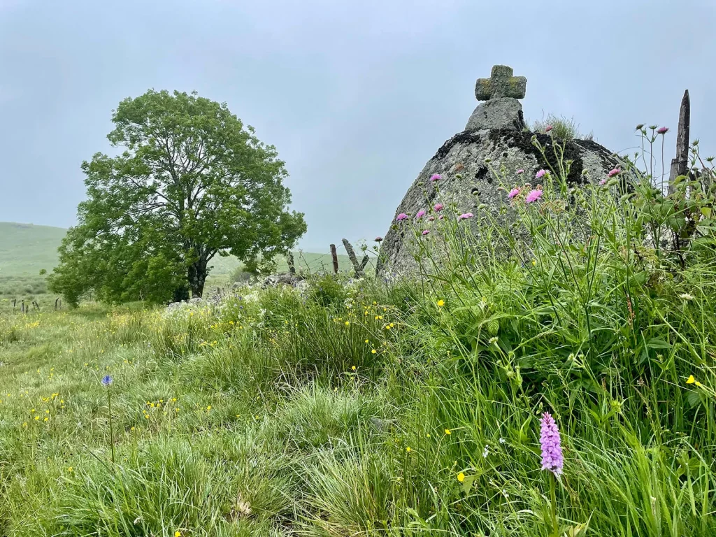 GRP - Tour des Monts d'Aubrac étape Laguiole Saint-Urcize