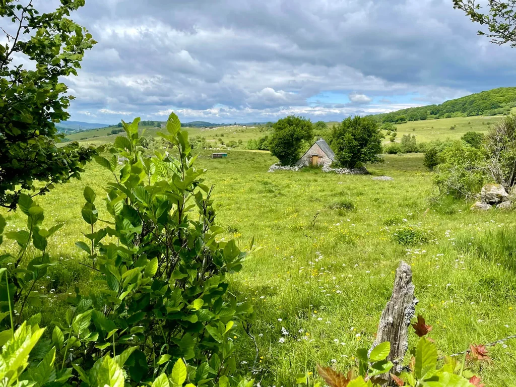 GRP - Tour des Monts d'Aubrac étape Saint Urcize à Nasbinals