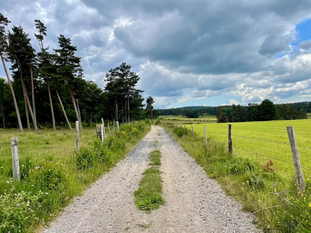 GRP - Tour des Monts d'Aubrac étape Aumont Aubrac à Prinsuéjols