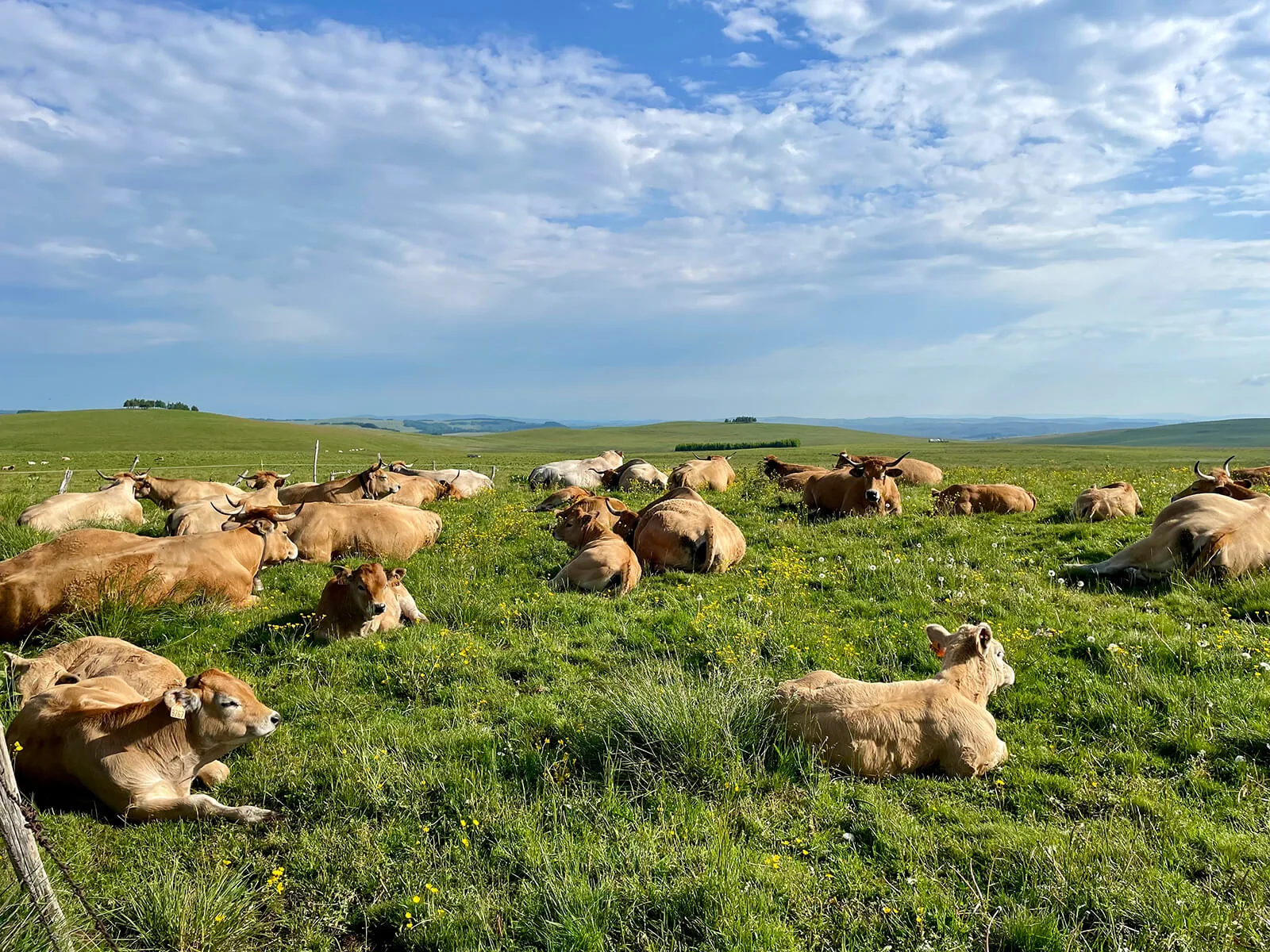 GRP - Tour des Monts d'Aubrac étape Les Rajas à Saint-Chély-d'Aubrac