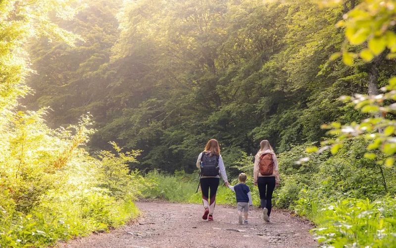 Balade en forêt en famille Aubrac