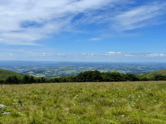 GRP - Tour des Monts d'Aubrac étape Saint-Chély-d'Aubrac à Laguiole