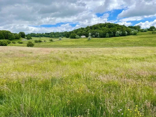 GRP - Tour des Monts d'Aubrac étape Saint Urcize à Nasbinals