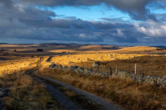 Chemin plateau de l'Aubrac